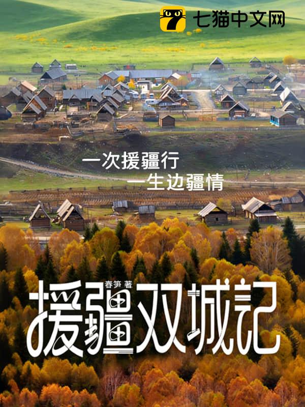 援疆双城记