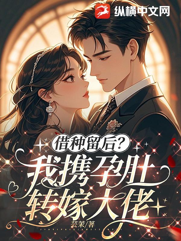 借种留后？我携孕肚转嫁大佬