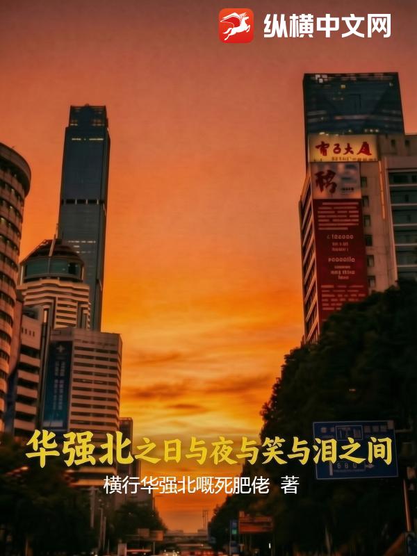 华强北之日与夜与笑与泪之间