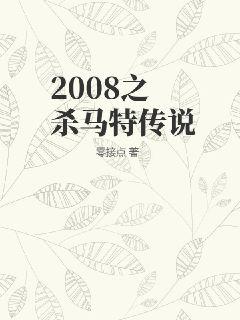 2008之杀马特传说