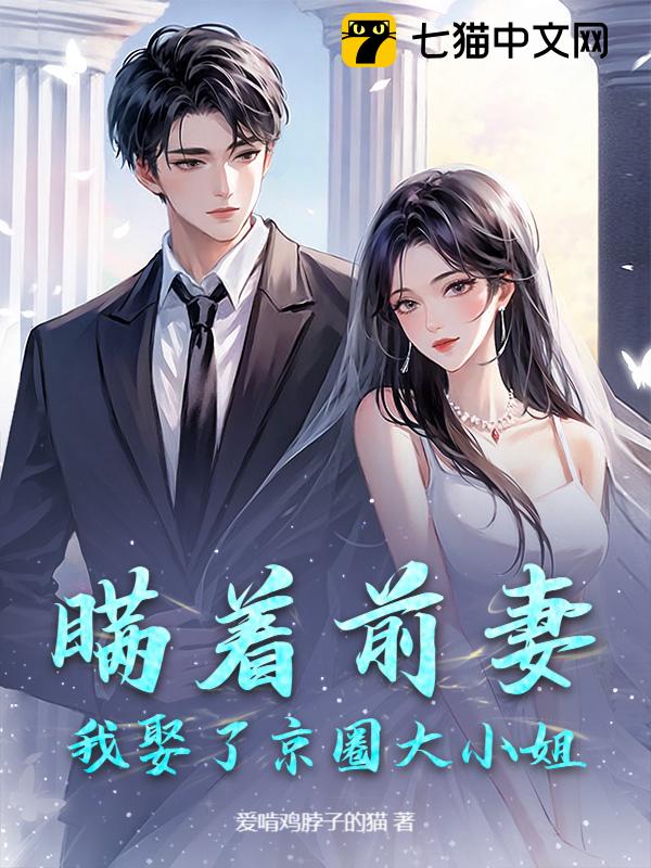 瞒着前妻，我娶了京圈大小姐