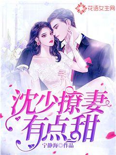 沈少撩妻有点甜
