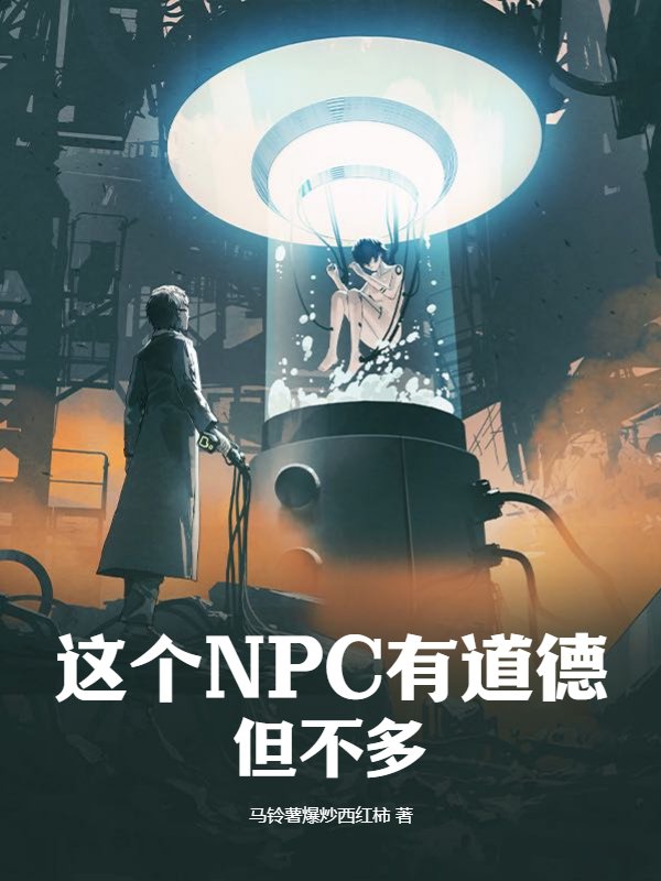 这个NPC有道德，但不多