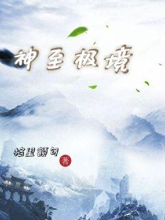 神至极境