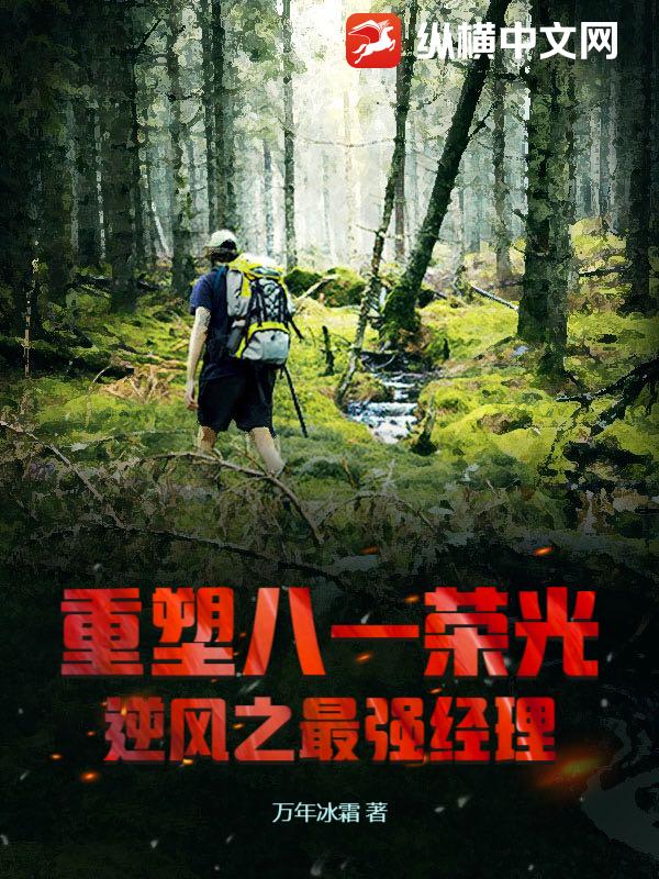 重塑八一荣光：逆风之最强经理