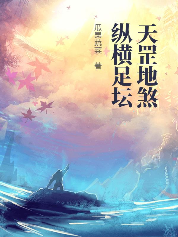 天罡地煞纵横足坛