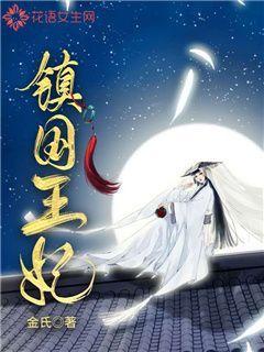 镇国王妃
