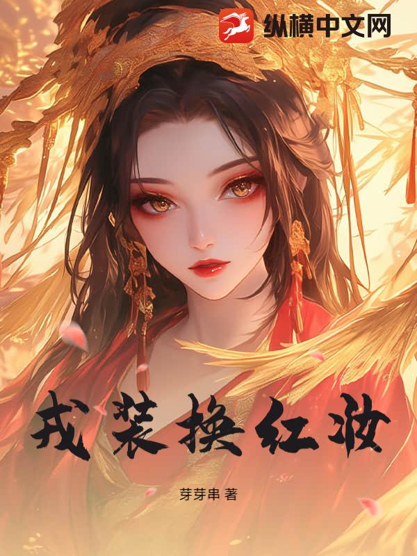 戎装换红妆小说