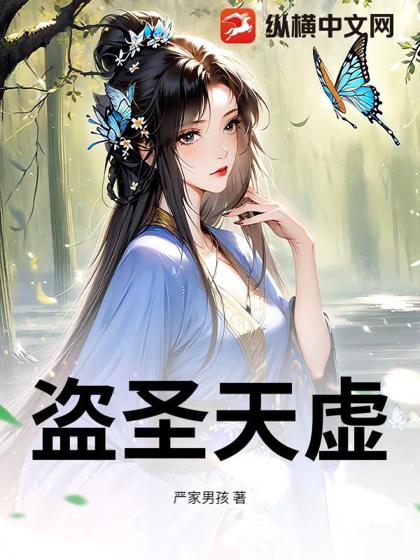 盗圣天虚