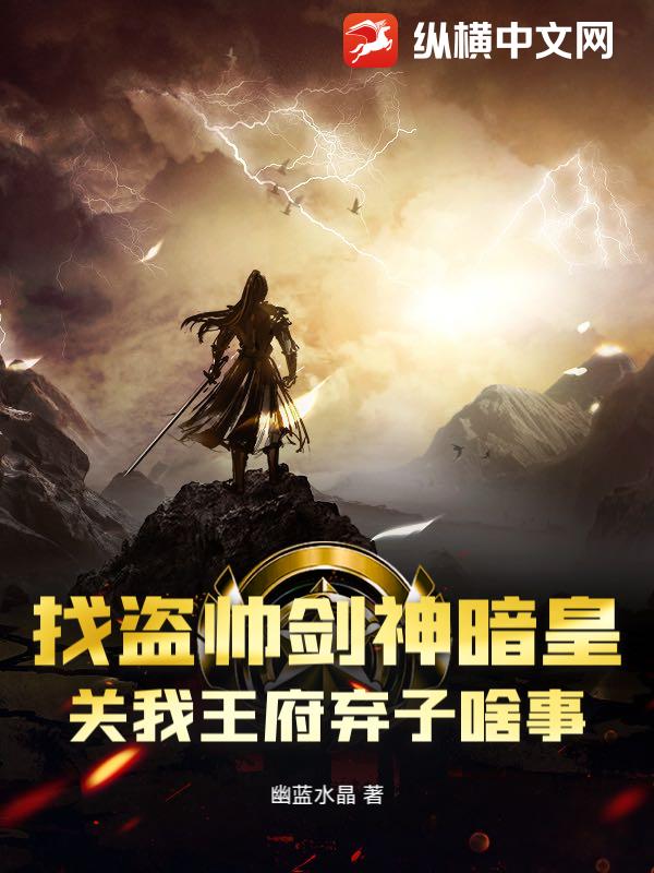 找盗帅剑神暗皇，关我王府弃子啥事