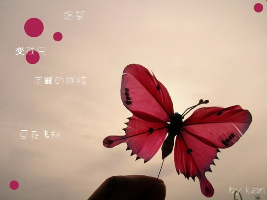 1227156359378.jpg