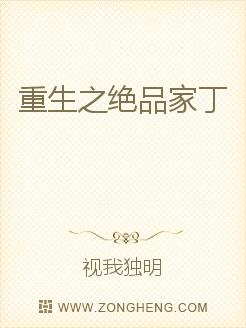 绝品家丁，一部短剧的魅力之旅，绝品家丁，短剧的魅力之旅