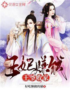 王妃赚钱王爷败家