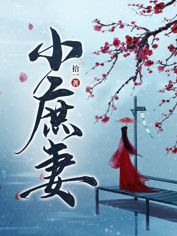 小庶妻