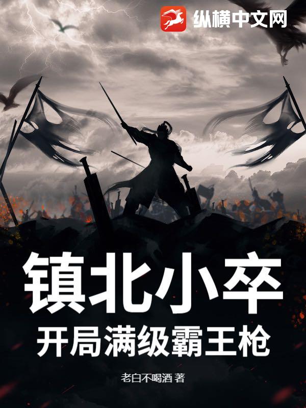 镇北小卒：开局满级霸王枪
