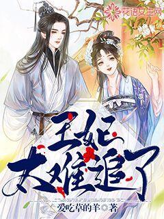 王妃太难追了