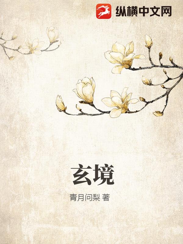 玄境小说