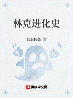 林克进化史全本免费TXT