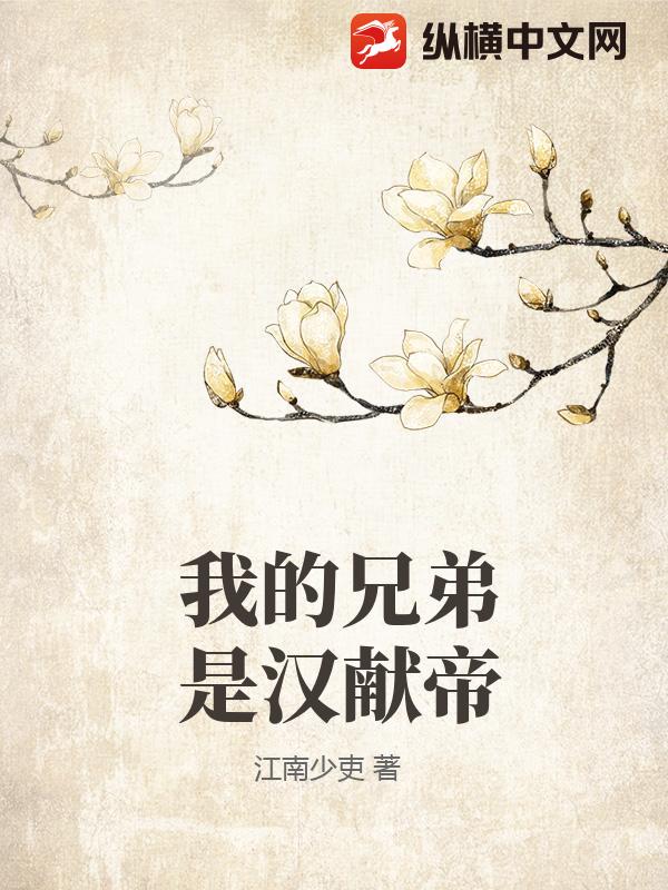 我的兄弟是汉献帝