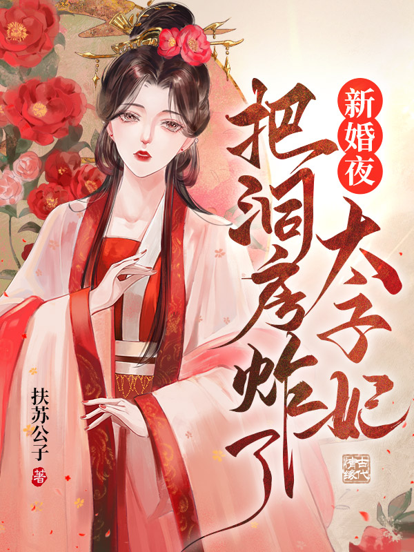 新婚夜太子妃把洞房炸了