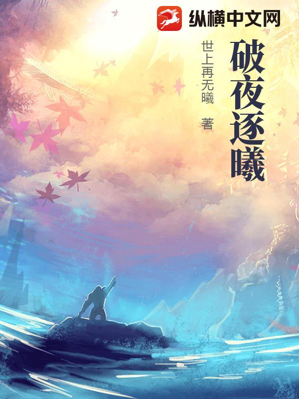 破夜逐曦小说