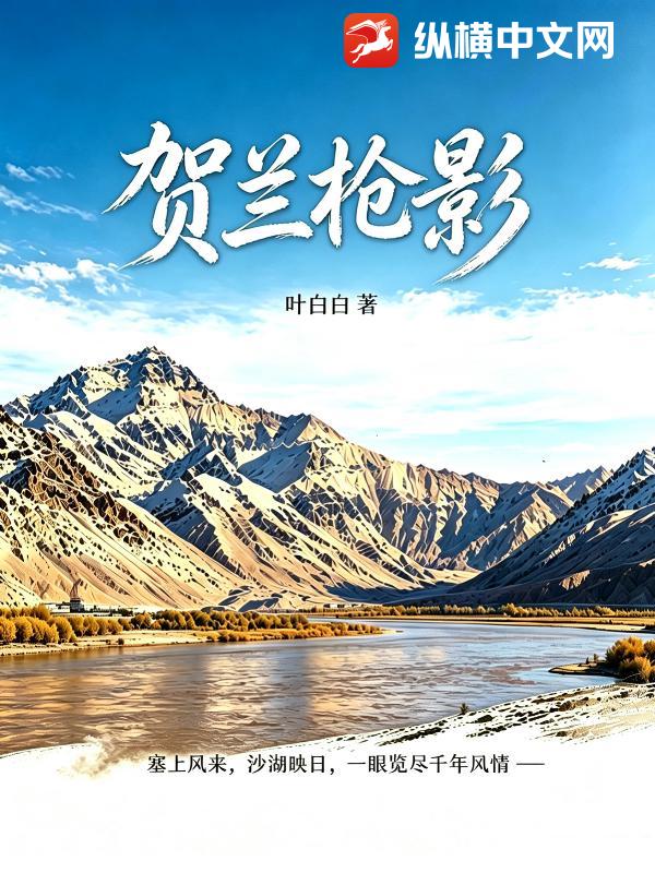 贺兰枪影