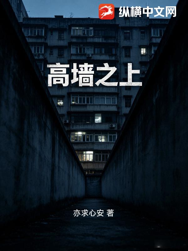 高墙之上
