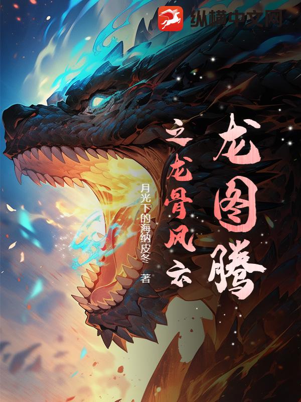 龙图腾之龙骨风云
