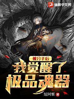 被分手后我觉醒了极品魂器