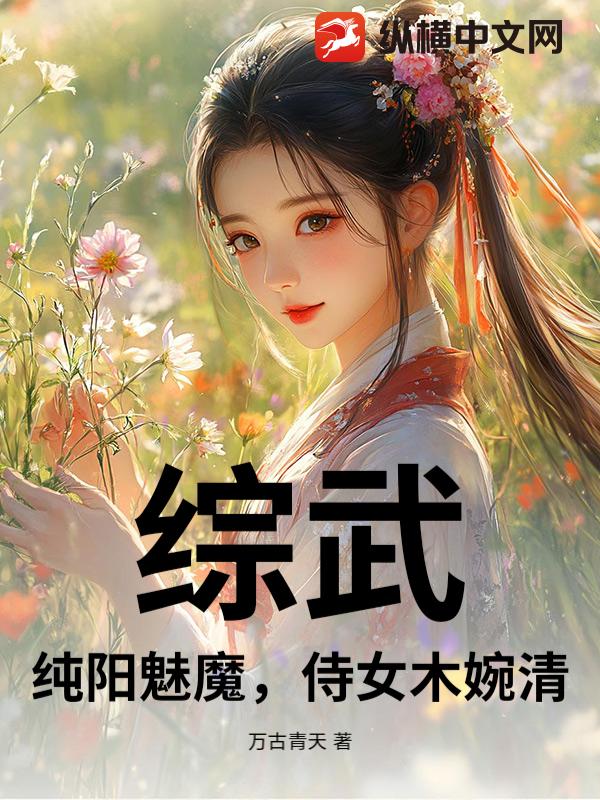 综武：纯阳魅魔，侍女木婉清