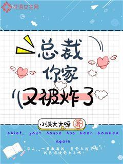 总裁你家又被炸了