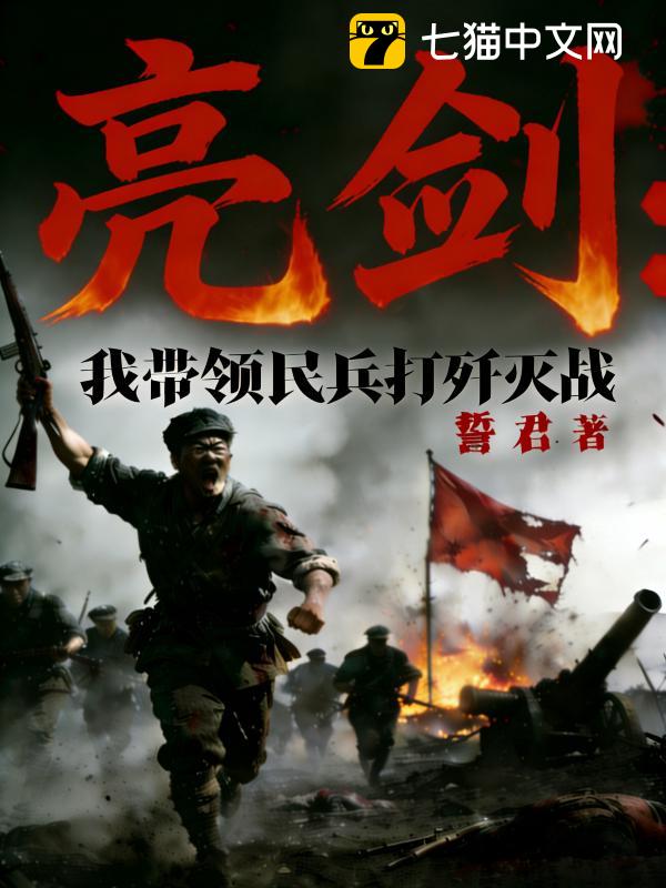亮剑：我带领民兵打歼灭战