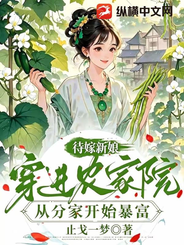 待嫁新娘穿进农家院从分家开始暴富