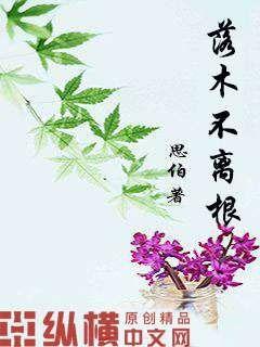 落木不离根