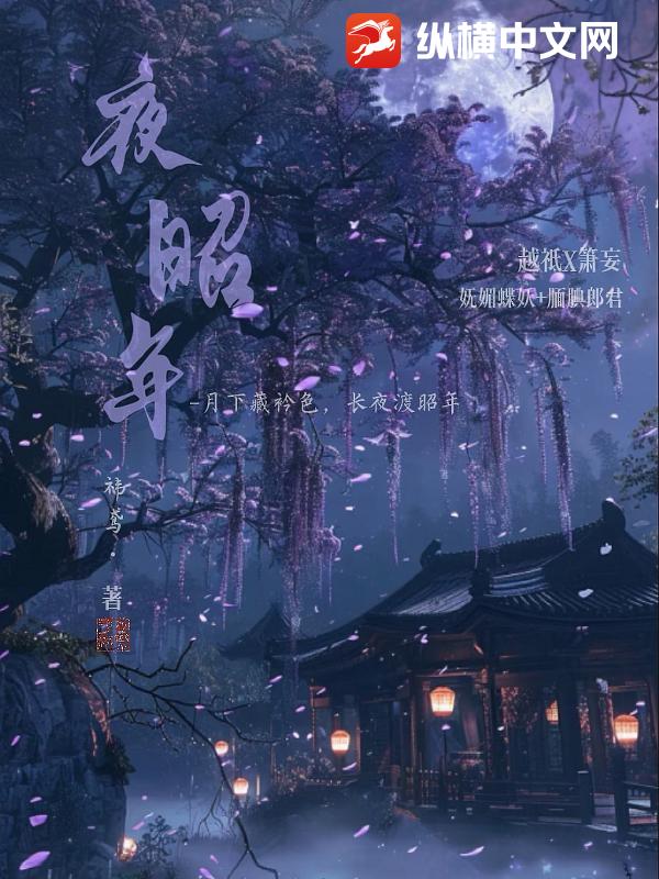 夜昭年
