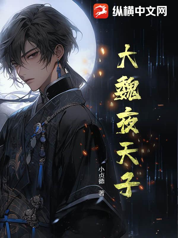 大魏夜天子