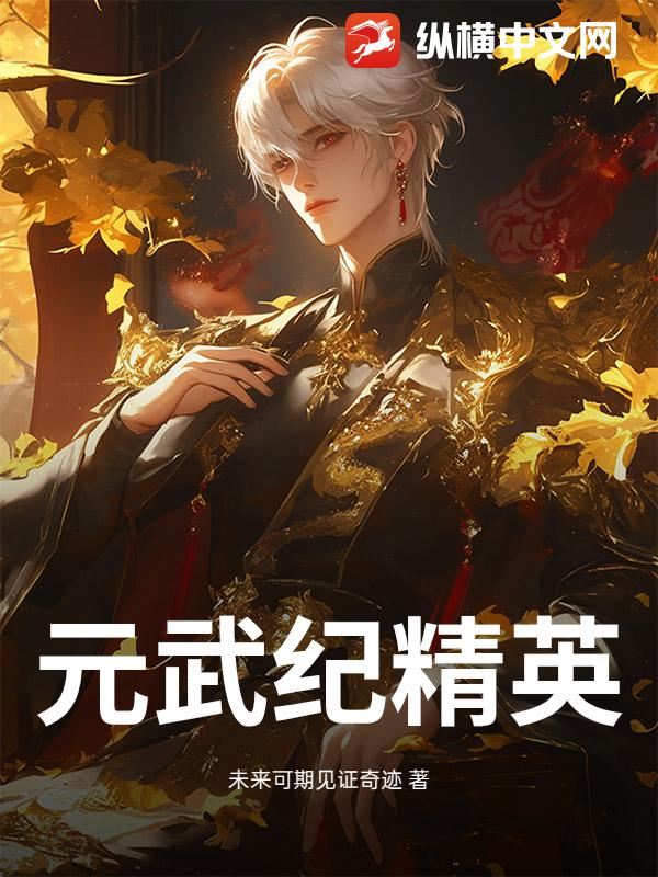 元武纪精英