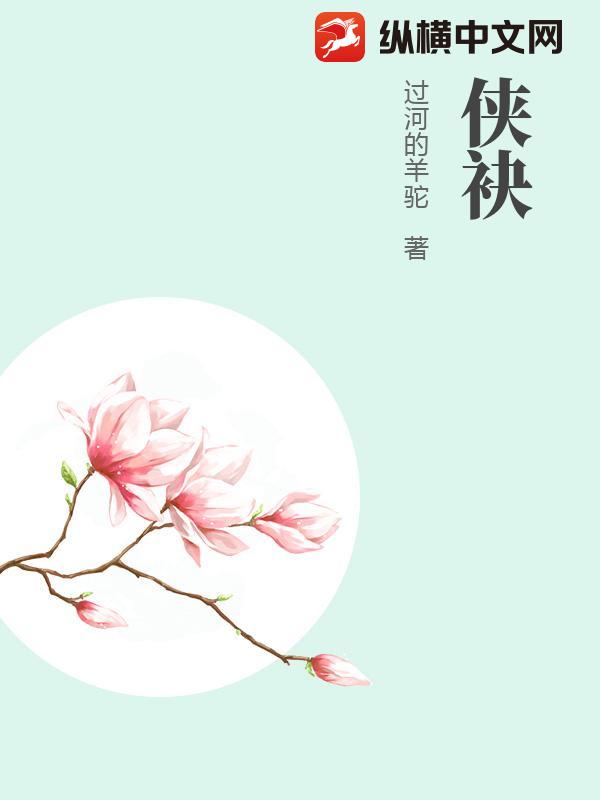 侠袂