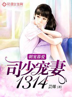 朝宠暮爱：司少宠妻1314