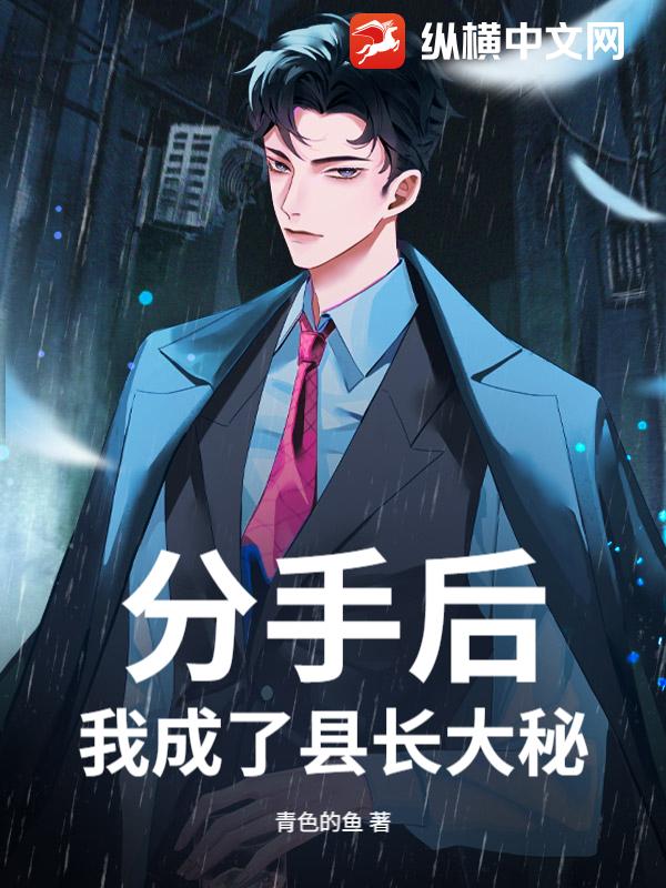 分手后，我成了县长大秘