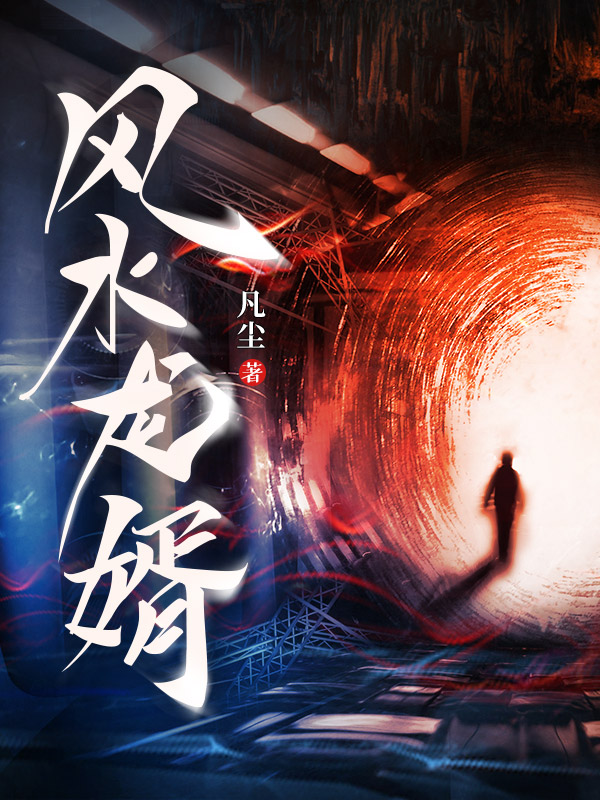 风水龙婿