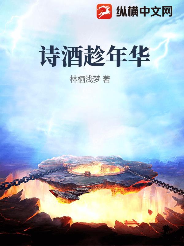 诗酒趁年华小说