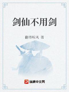 无境之剑全本免费TXT