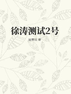 徐涛测试2号