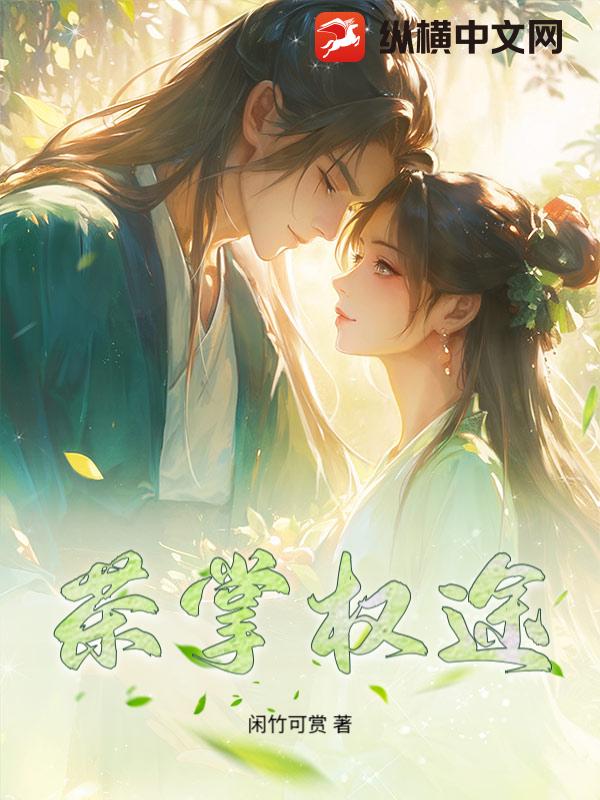 茶掌权途