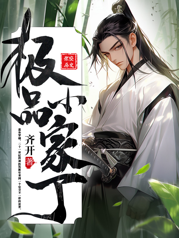极品小家丁
