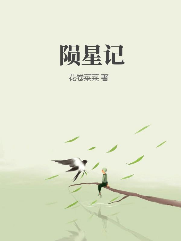 陨星记