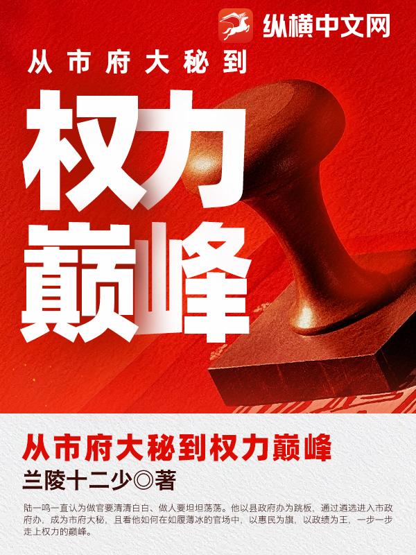 从市府大秘到权力巅峰