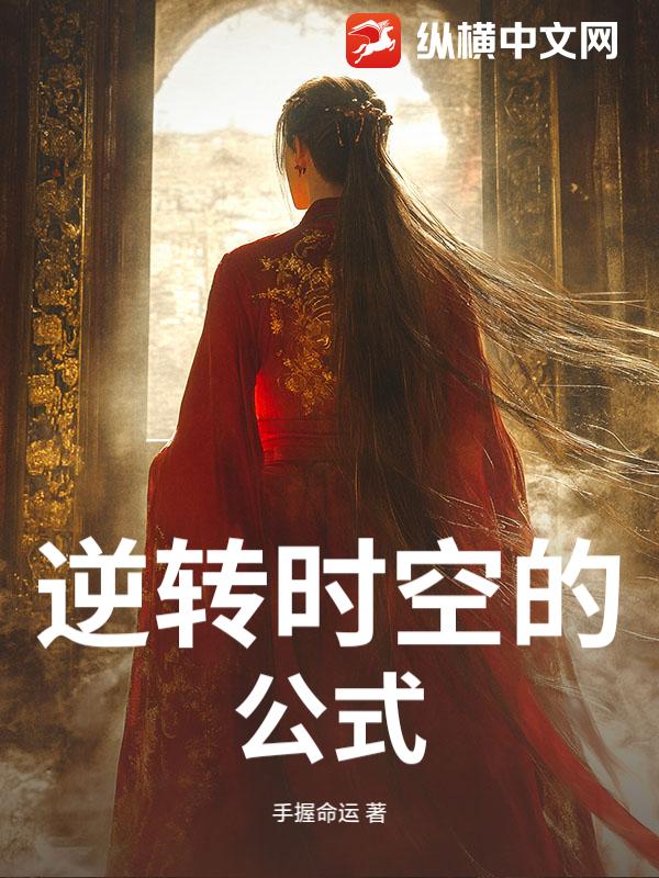 逆转时空的公式小说