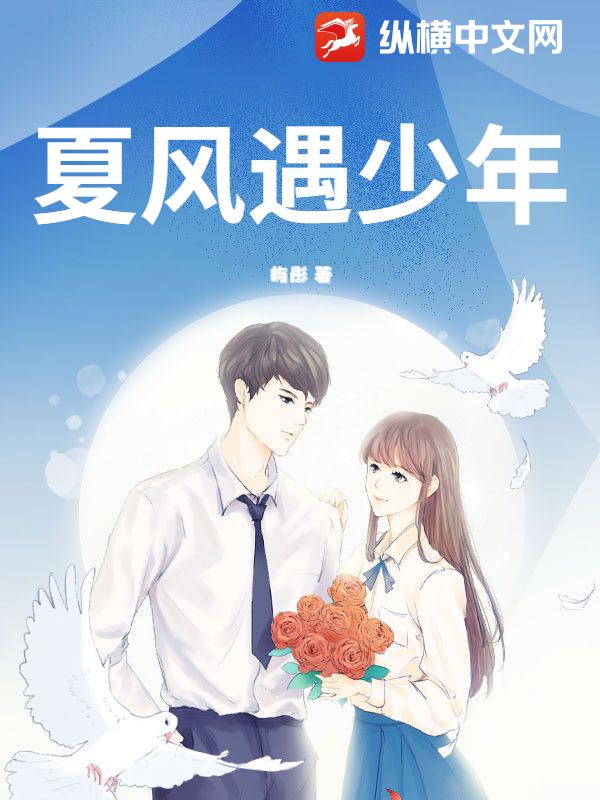 夏风遇少年